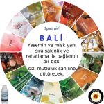 Kurumsal Koku BALI