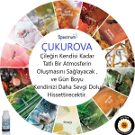 Kurumsal Koku ÇUKUROVA