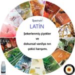 Kurumsal Koku LATIN