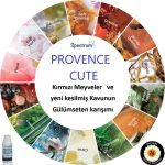 Kurumsal Koku PROVENCE CUTE
