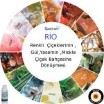 Kurumsal Koku RIO